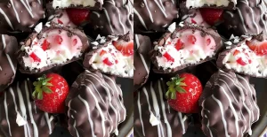 Délices de Yogourt et Fraises Enrobés de Chocolat