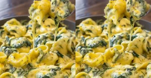 Tortellini Crémeux aux Épinards